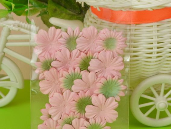 Набор цветочков 20 шт 2 вида, персиковый с зеленым, SCB300802 ScrapBerrys Набор цветочков 20 шт 2 вида, персиковый с зеленым, SCB300802 ScrapBerrys