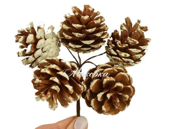 Шишки натуральные заснеженные, 6 шт на проволоке Шишки натуральные заснеженные, 6 шт на проволоке