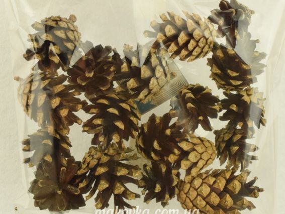 Шишки натуральні незабарвлені, асорті 100 грам Шишки натуральні незабарвлені, асорті 100 грам