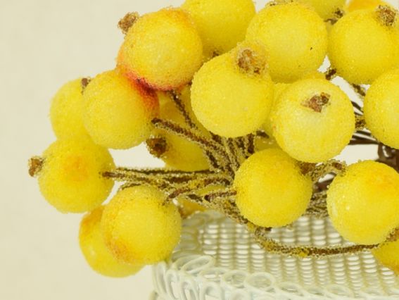 Ягоди Калина Цукрова FL02 12мм, FL02 жовті, 40шт/уп