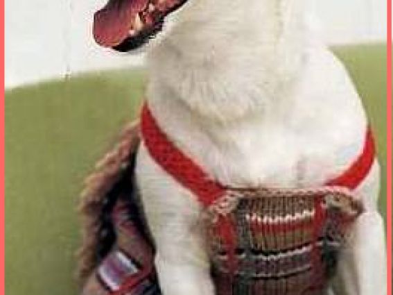 Сарафанчик