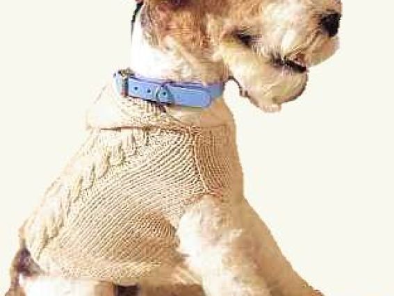 Свитер с капюшоном