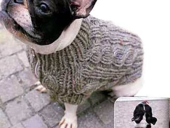 Кофточка с застежкой-молнией на животике