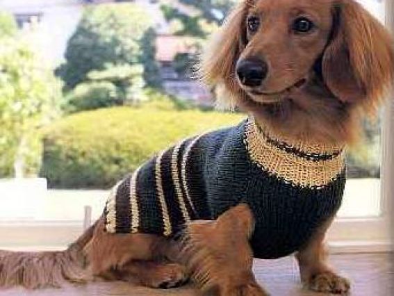 Пуловер с воротником