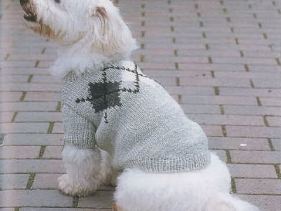 Кофта с рукавами, застегивается на пуговицы на животике