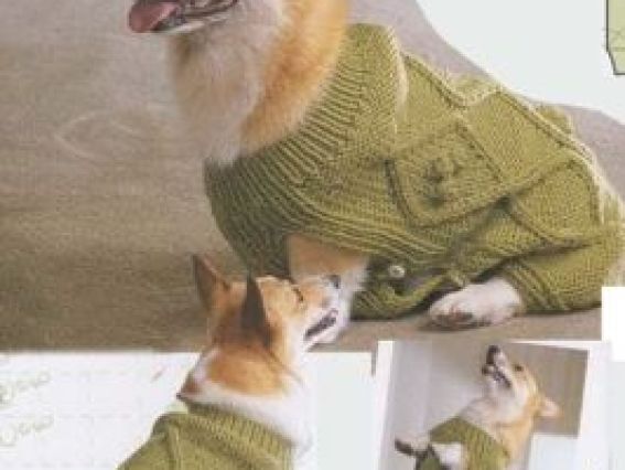 Кофта с прикрытым животиком. Пуговицы по бокам