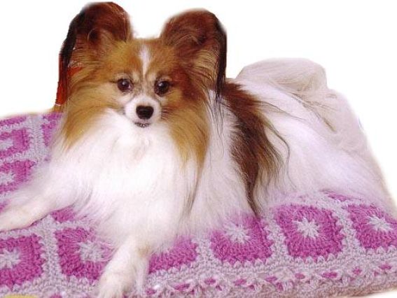 Накидки для пуфиков