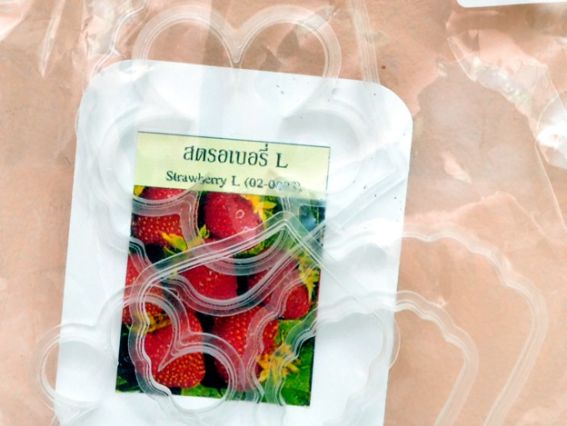 Формы для лепки (каттеры) Клубника Л (02-0083), 6 шт Формы для лепки (каттеры) Клубника Л (02-0083), 6 шт