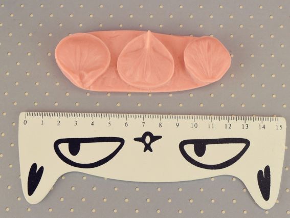 Форма Молд Пелюстка Братки 3в1, 37.01, розмір 10,5х3,5см, Чудесіна