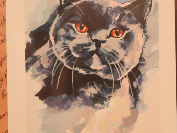 Домашний любимец 2 КНО 4010 Идейка картина по номерам Домашний любимец 2 КНО 4010 Идейка картина по номерам