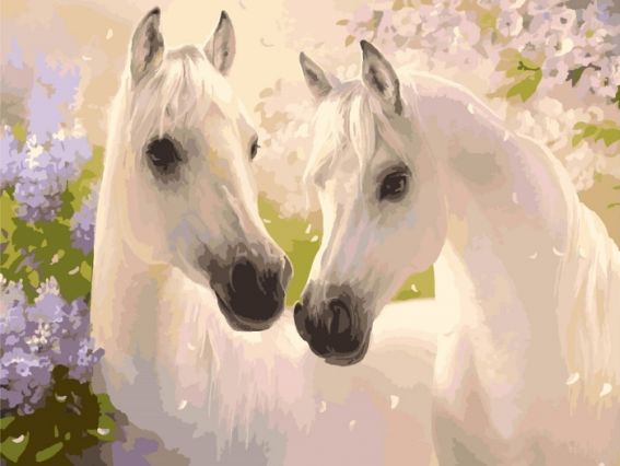 Пара лошадей КНО2433 Идейка картина по номерам Пара лошадей КНО2433 Идейка картина по номерам