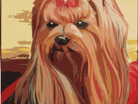 Ідейка Розпис за номерами КНО2454 Тварини. МИЛИЙ ДРУГ (Йоркширський тер'єр)