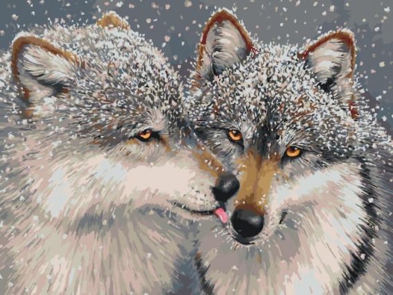 Нежные чувства КНО 4025 Идейка картина по номерам Нежные чувства КНО 4025 Идейка картина по номерам