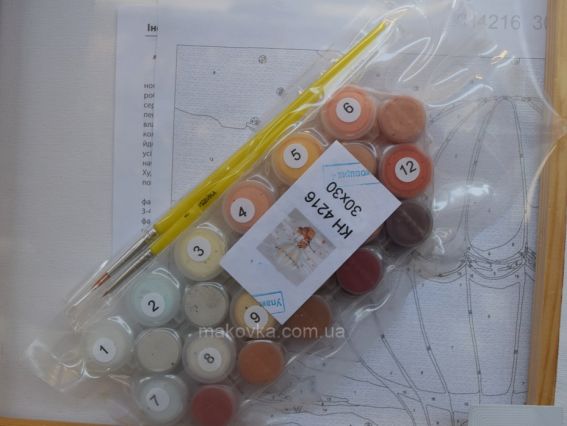 Ідейка Розпис за номерами КНО4216 Тварини. Зіркова рибалка (лисичка на кулі)