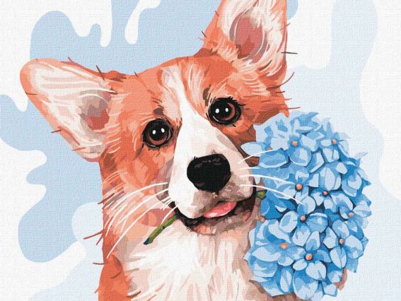 Маленький коргі KHO4219 Ідейка картини по номерах Маленький коргі KHO4219 Ідейка картини по номерах