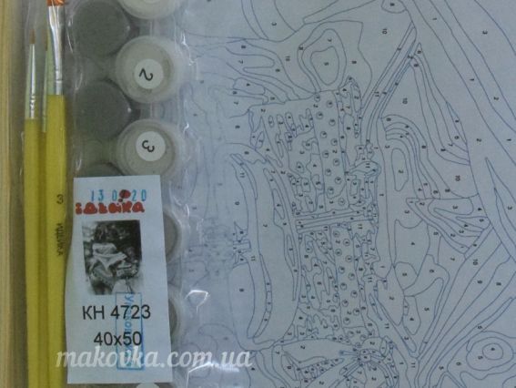 Ідейка Розпис по номерах КНО4723 Люди Цікава прогулянка