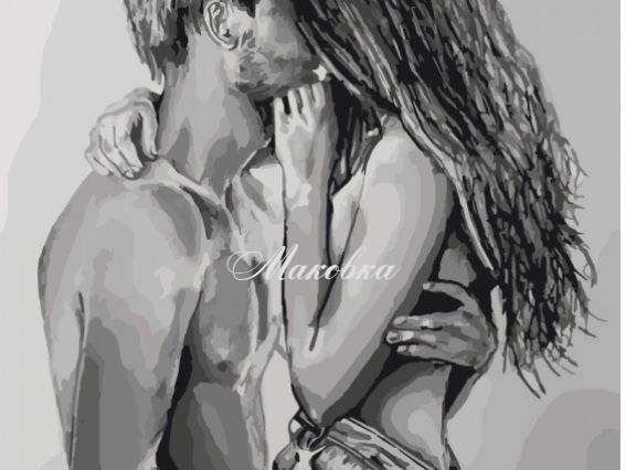 До луны и обратно КНО2691 Идейка картина по номерам До луны и обратно КНО2691 Идейка картина по номерам