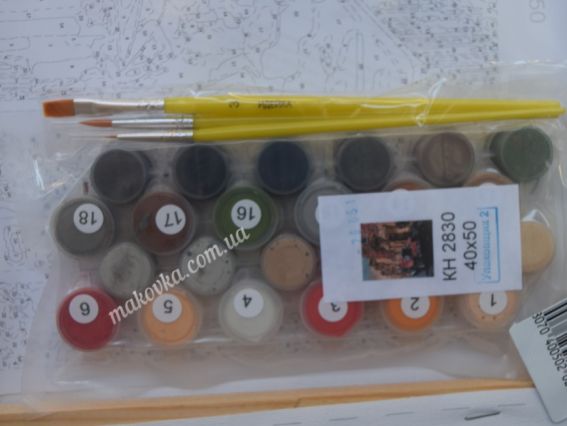 Ідейка Розпис за номерами КНО2830 У стилі 60 -х