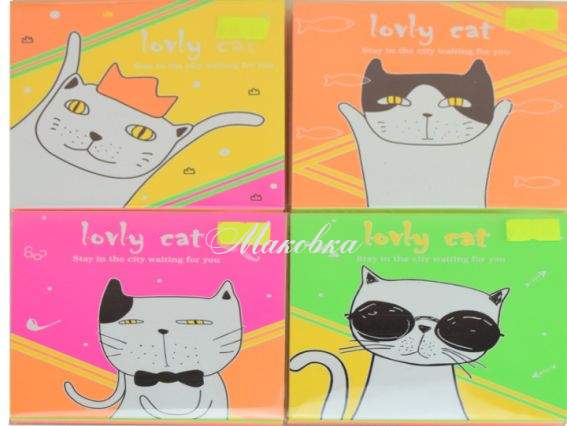 Бумага для оригами цветная Lovly cat, ZZ-013, 11х11см, 28 стр., в асоортименте Бумага для оригами цветная Lovly cat, ZZ-013, 11х11см, 28 стр., в асоортименте