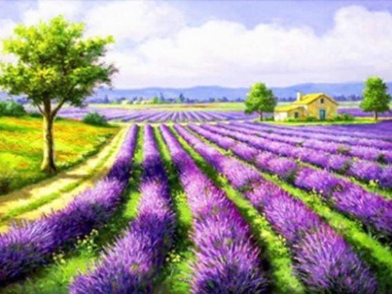 Картина стразами Лавандовое поле, набор 177279 Go to Art Диамантовые ручки на подрамнике