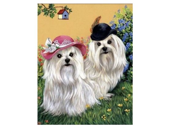 Картина стразами 5D 178399 Дві красуні (мальтійські болонки), 21х25см Go to Art, підставка 