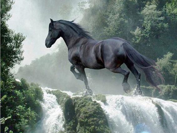 Картина стразами Подолання, 178923 Go to Art Діамантові ручки на підрамнику