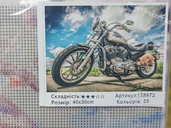 Мотобайк, набор для творчества со стразами 178972 Go to Art