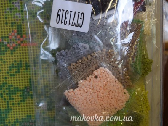 Картина стразами 188116 Назустріч вітру 40*50 см Діамантові ручки GT71319