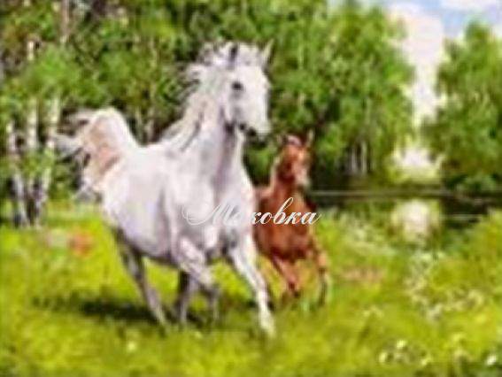 GT71319 Навстречу ветру Диамантовые ручки, набор для творчества со стразами 188116  GT71319 Навстречу ветру Диамантовые ручки, набор для творчества со стразами 188116 