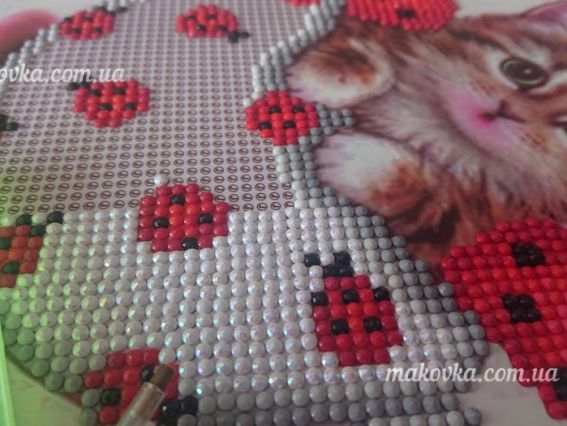 Картина стразами 5D 188154, Кошенятко-Сонечко 188154 Діамантові ручки Go to Art