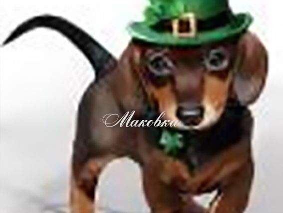 JA1169 Джентельмен, Диамантовые ручки, 189037набор для творчества со стразами 5D  JA1169 Джентельмен, Диамантовые ручки, 189037набор для творчества со стразами 5D