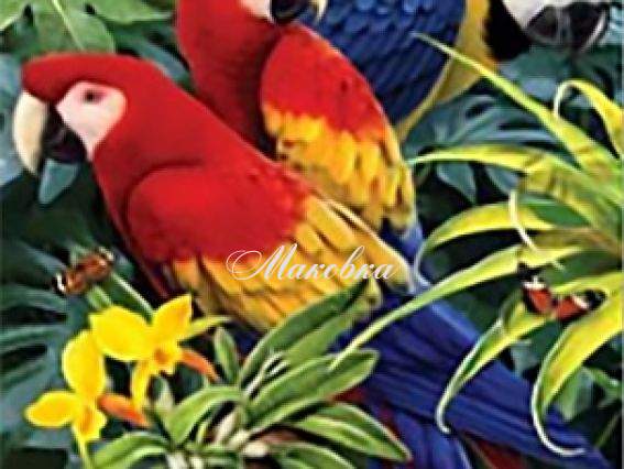 JA20516 Неразлучные, Диамантовые ручки, 188344 набор для творчества со стразами 5D  JA20516 Неразлучные, Диамантовые ручки, 188344 набор для творчества со стразами 5D 