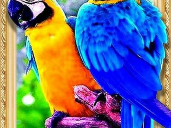 LТ0154 Балакуча парочка, набор для творчества со стразами 188366 Диамантовые ручки LТ0154 Балакуча парочка, набор для творчества со стразами 188366 Диамантовые ручки