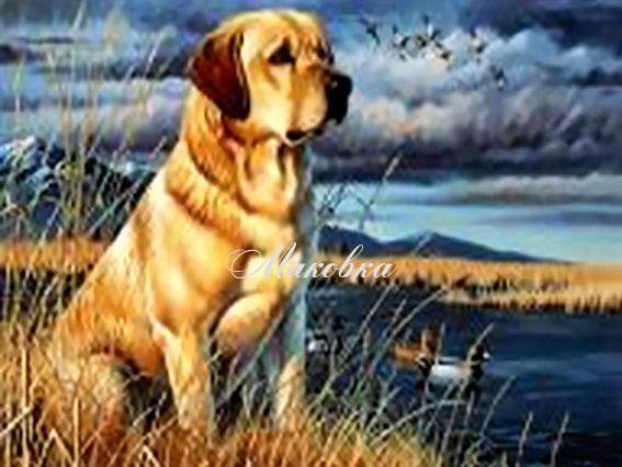 GL73355 Очікування, набор для творчества со стразами 188369 Диамантовые ручки GL73355 Очікування, набор для творчества со стразами 188369 Диамантовые ручки