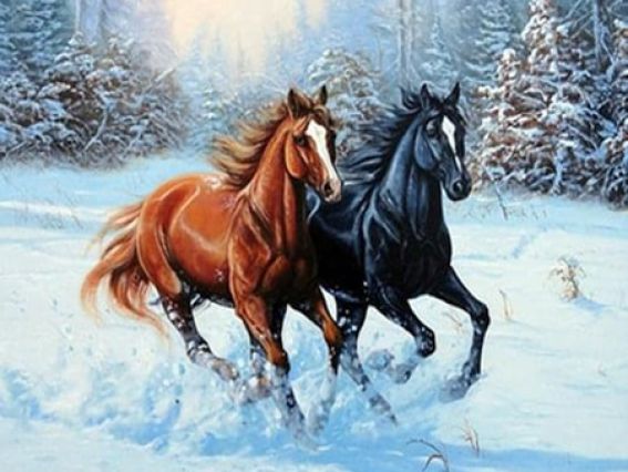 Картина стразами 5D , 188534, Шалений біг 21х25см Діамантові ручки, підставка  JA21150