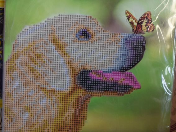 Картина стразами 5D 188647 Добрий песик JA20426 , 21х25см Діамантові ручки, підставка