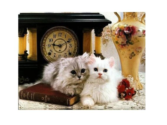 Картина стразами 5D 189045 Пушистые друзья (котики) Go to Art, 21х25см , подставка  