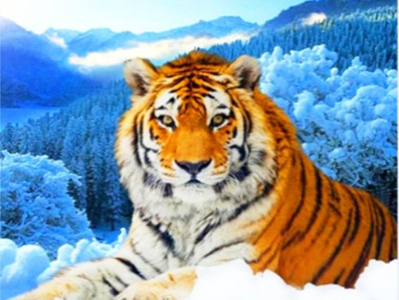 Картина стразами 5D , 189048, Хоробре серце 21х25см Діамантові ручки Go to Art, підставка  JA20983