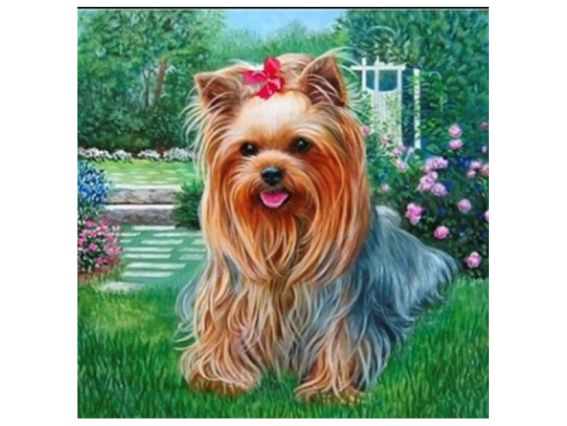 Картина стразами 189220 Адель (Йоркширский терьер) Go to Art Диамантовые ручки на подрамнике