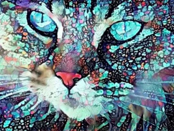 Картина стразами 177270 Подивись на мене (кіт), набір Go to Art Діамантові ручки на підрамнику (GM72850)