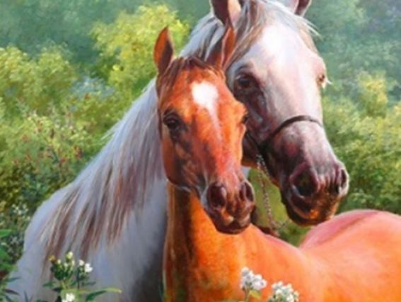 Картина стразами 189463 Чувства Go to Art Диамантовые ручки на подрамнике