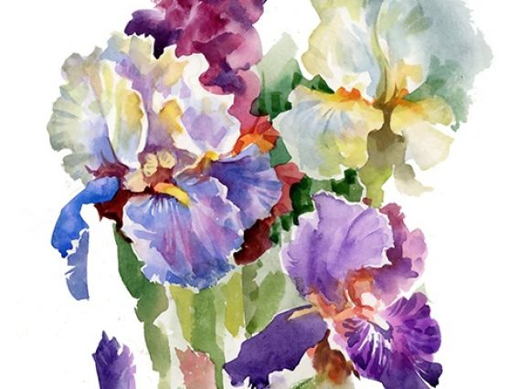 Картина стразами 5D 189764 Іриси 21х25см Go to Art, на підставці 