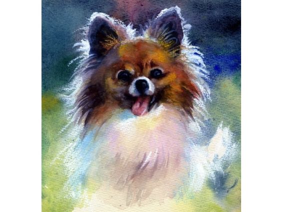 Картина стразами 5D 189775 Вірний друже, Худ. Старовойтова 21х25см Go to Art, на підставці 