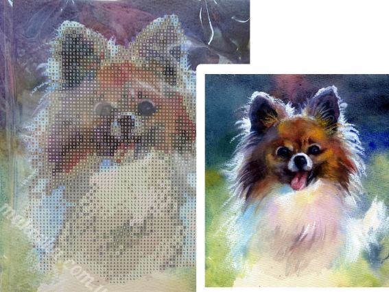 Вірний друже Go to Art, 189775 набір для творчості зі стразами 5D  Вірний друже Go to Art, 189775 набір для творчості зі стразами 5D 