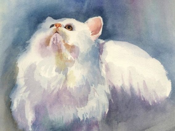 Картина стразами 5D 189782 Пухнаста радість (кіт) 21х25см Go to Art, на підставці 