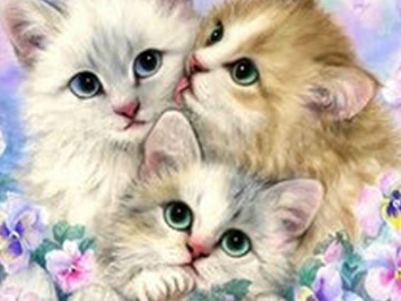 Картина стразами 5D 189796 Мої кошенята 21х25см Діамантові ручки, Go to Art підставка JA26035