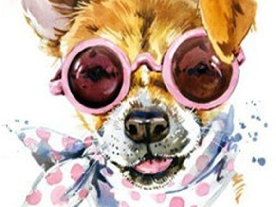 Картина стразами 5D 189797 Модний пес 21х25см Діамантові ручки, Go to Art підставка  JA26060