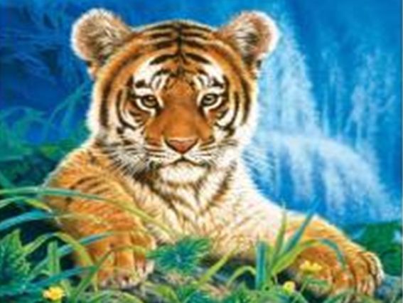 Картина стразами 5D , 189049, Майбутній воїн 21х25см Діамантові ручки, підставка  JA21081