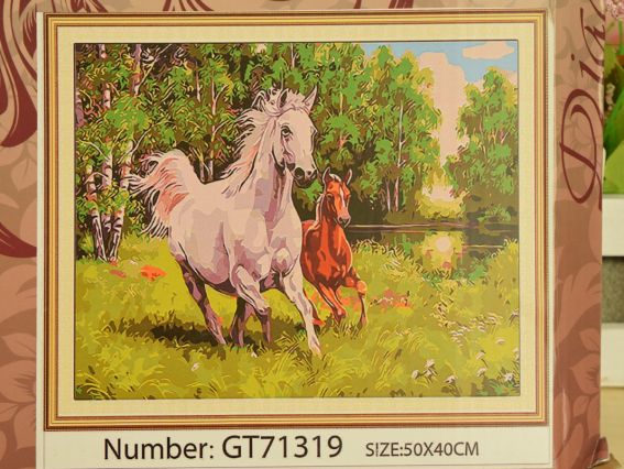 Картина стразами 188116 Назустріч вітру 40*50 см Діамантові ручки GT71319