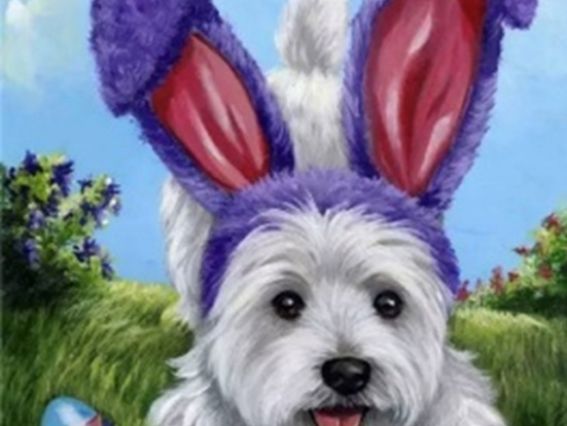 Картина стразами 5D 178401 Ноэль Go to Art, 21х25см Диамантовые ручки, подставка  